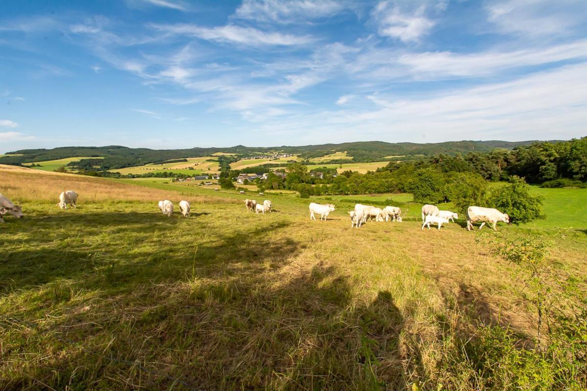 Ferienwohnung Biohof Mindermann Kelberg Bagian luar foto